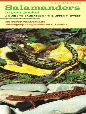 cover image of Salamanders in Your Pocket